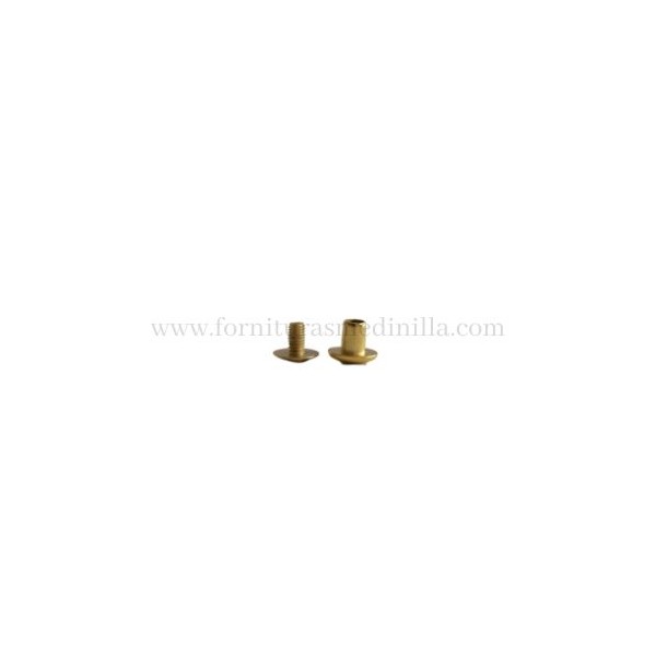 TORNILLO CINTURON (100 Uds.)